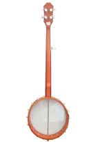 5-string banjo