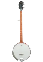 5-string banjo