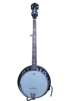 5-string banjo