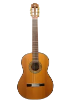 Classical guitar