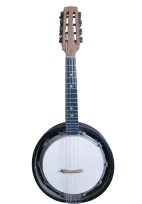 Mandolin-banjo