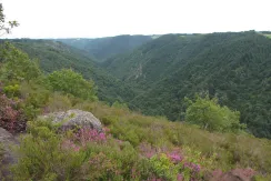 Camps-Saint-Mathurin-Leobazel