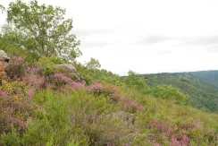 Camps-Saint-Mathurin-Leobazel
