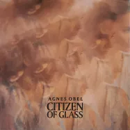 Citizen Of Glass