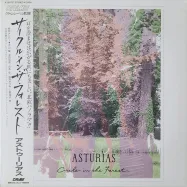 Circle in the Forest