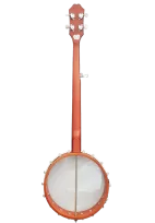 5-string banjo