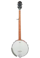 5-string banjo