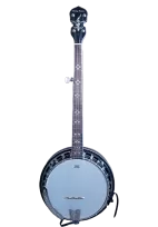 5-string banjo