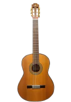 Classical guitar