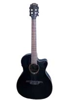 Acoustic-electric nylon string guitar